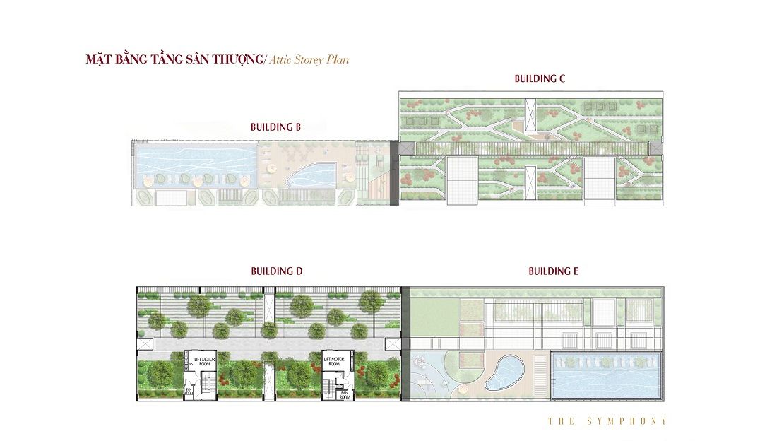 Mặt Bằng Tổng Thượng The Symphony Midtown M6